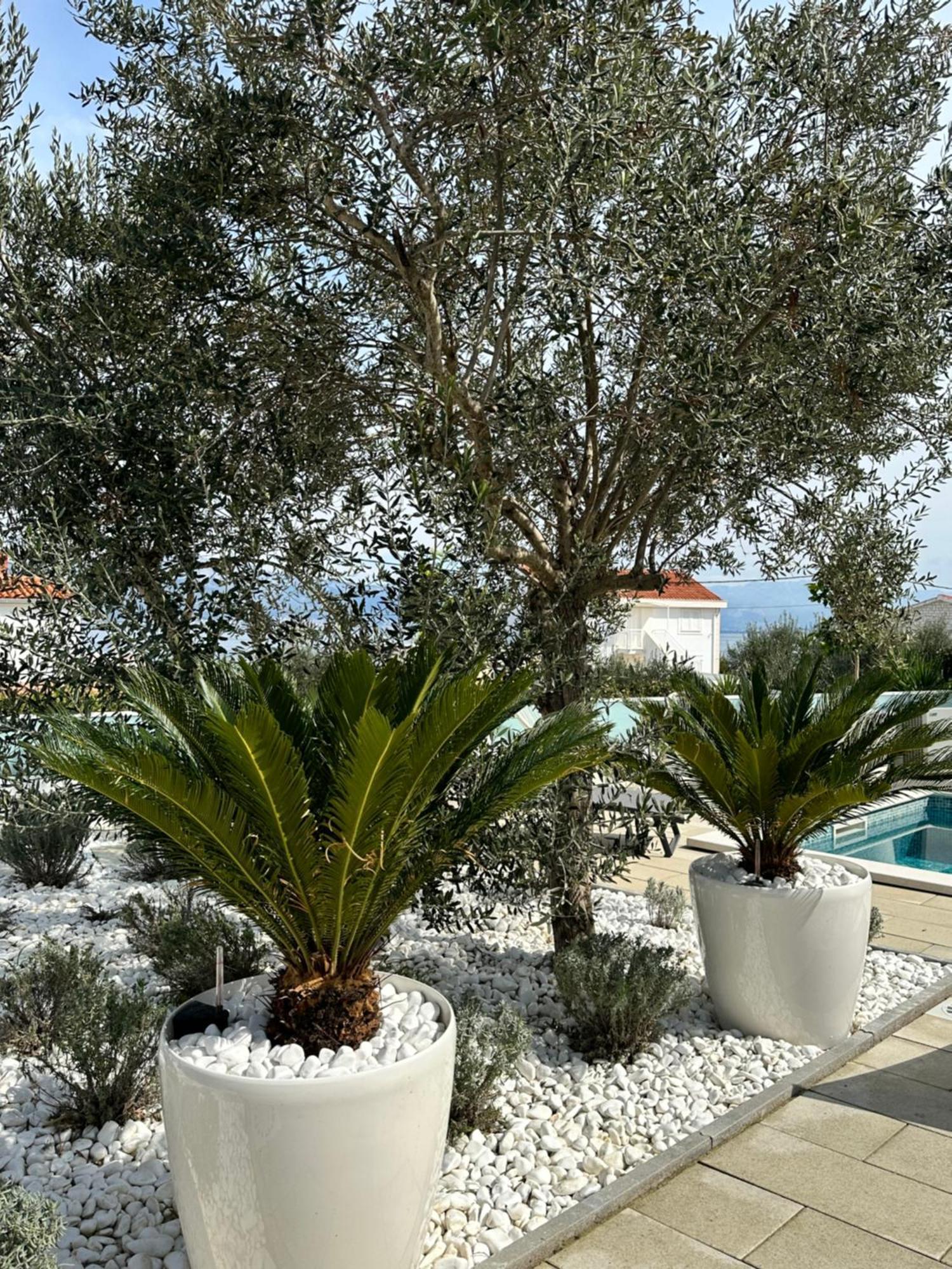 Apartments Marina Трогир Экстерьер фото